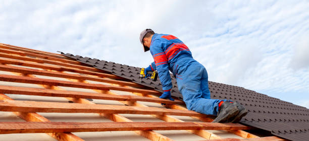 Best Skylight Installation and Repair  in Purvis, MS