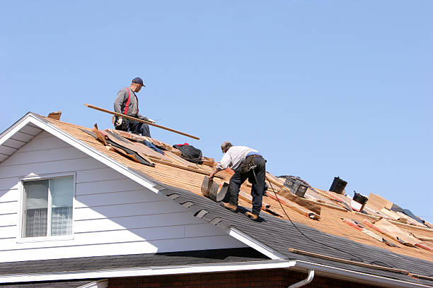 Best Emergency Roof Repair  in Purvis, MS