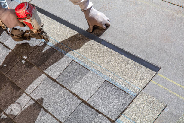Best Roof Insulation Installation  in Purvis, MS